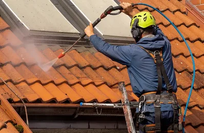 Démoussage et hydrofuge de toiture à Tréguidel